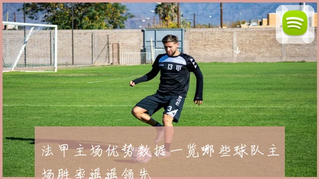 法甲主场优势数据一览哪些球队主场胜率遥遥领先