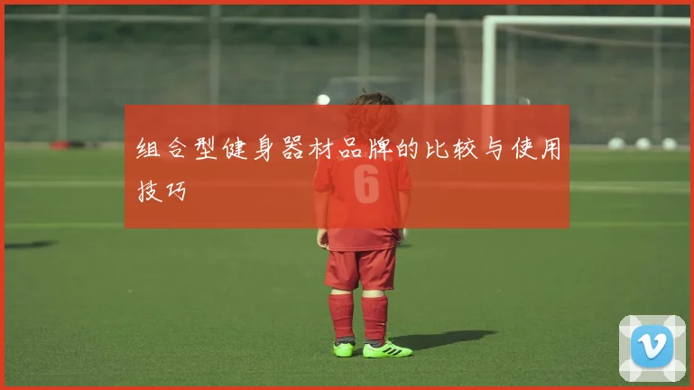 组合型健身器材品牌的比较与使用技巧