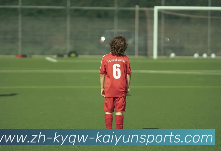 ky开云服务体系